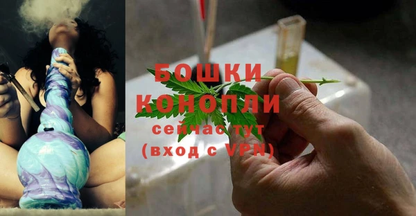 эйфоретик Гусь-Хрустальный