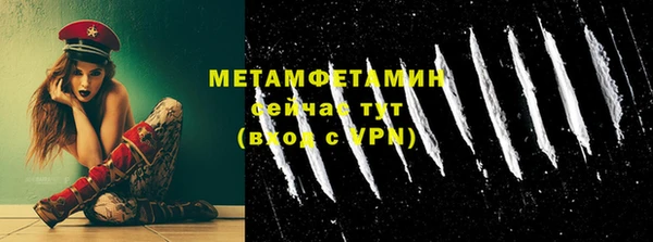 эйфоретик Гусь-Хрустальный