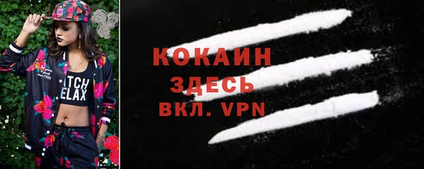 эйфоретик Гусь-Хрустальный