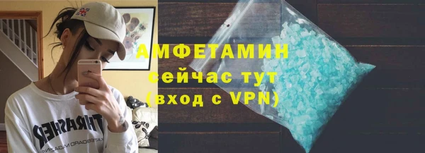 эйфоретик Гусь-Хрустальный