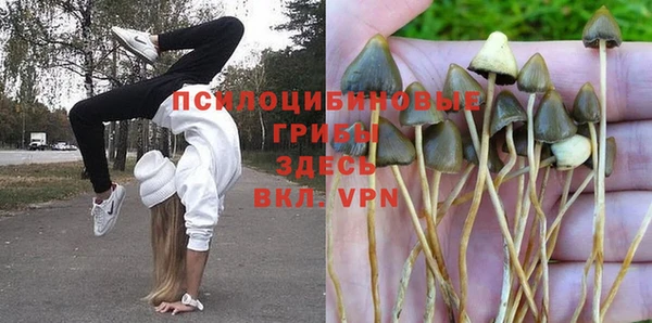 меф Гусев