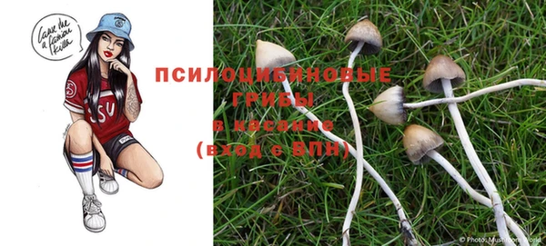 меф Гусев
