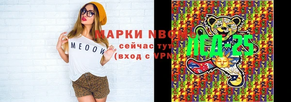 эйфоретик Гусь-Хрустальный