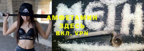 эйфоретик Гусь-Хрустальный