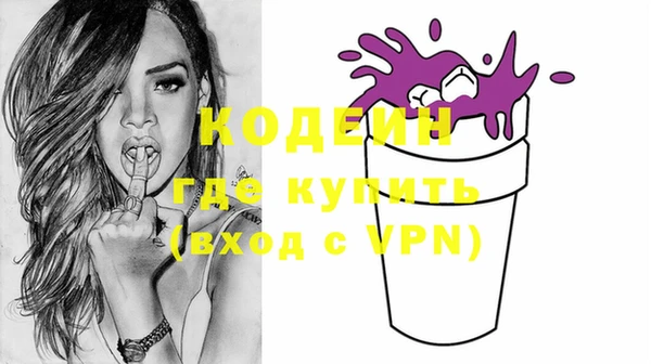 эйфоретик Гусь-Хрустальный